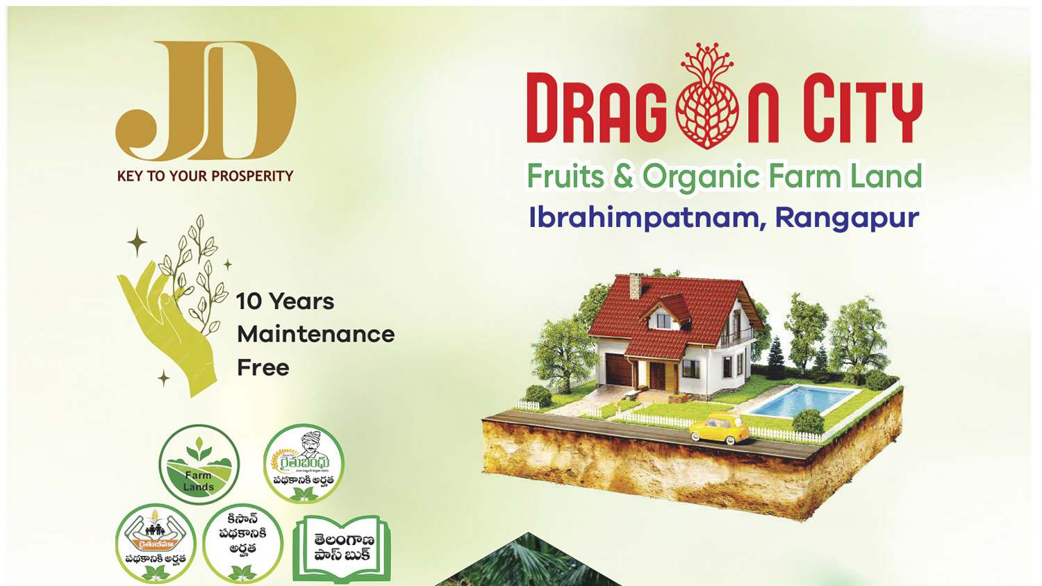DRAGON CITY